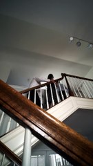 Ad-design premium plots is launched in Bangalore at Prestige Kings County