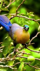 Calm Recitation Of Quran | Best Tilawat e Quran | Quran  |Tilawat