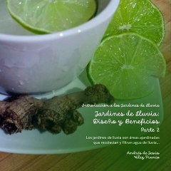 - Andrés de Jesús Vélez Franco- Impacto en la Comunidad (PARTE 2) (@AndresdeJesus90)