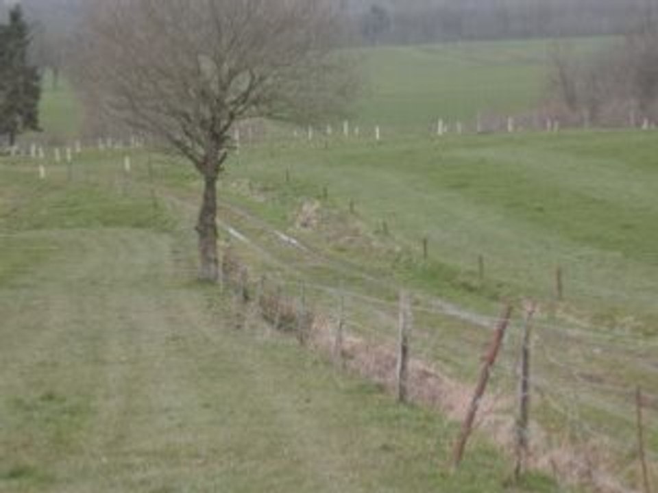 Tarrain haid haversain 2008