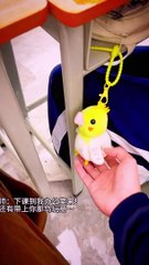 Funny cat videos hanging with bag ️️