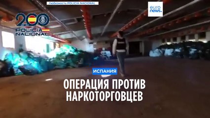 Полиция Испании арестовала 10 наркоторговцев и изъяла 3000 кустов конопли