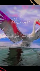 Drood sharif friday