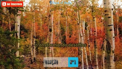 8 Orações Poderosas para Transformar Sua Vida