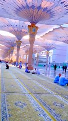 ایک شخس رسول اللہ صلی اللہ علیہ وسلم کے پاس حاضر ہوا اور اس نے کہا میں جماعت کے ساتھ نماز نہیں پڑہ سکتہ