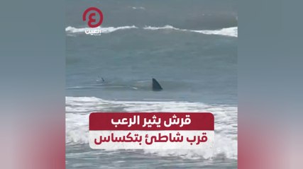 قرش يثير الرعب قرب شاطئ بتكساس