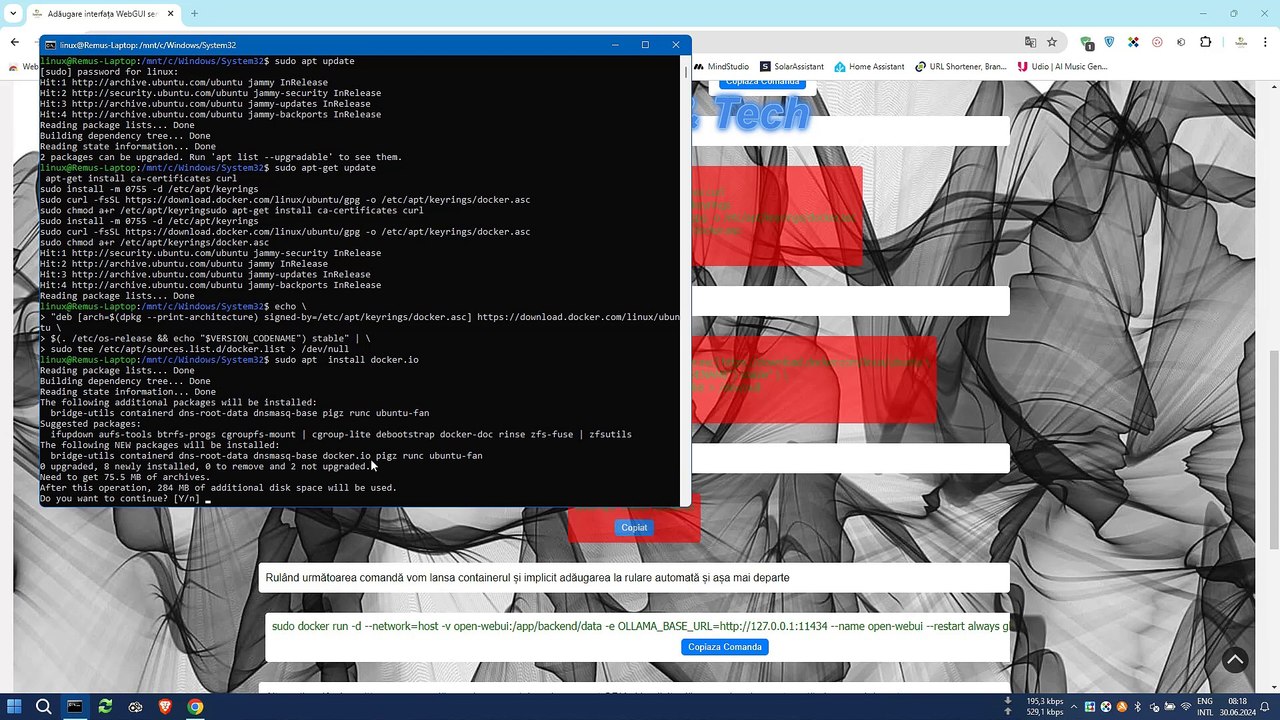 Adăugare interfața WebGUI serverului Ollama