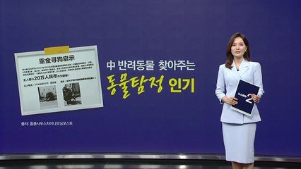 "반려견 찾아주면 1,280만 원 드려요" [앵커리포트] / YTN
