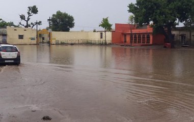 Video :  कभी झमाझम तो कभी रिमझिम बरसे मेघ, जिले में 214 एमएम बारिश दर्ज