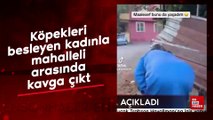 Köpekleri besleyen kadınla mahalleli arasında kavga çıktı