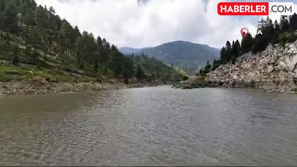 Savrun Çayı'na 19 bin 800 sazan balığı yavrusu bırakıldı