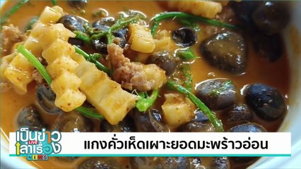 คาเฟ่ทุเรียนแห่งแรกของวังน้ำเขียว | เป็นข่าวเล่าเรื่อง | 5 ก.ค. 67 | PART 3