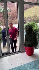 "The Ultimate Door Prank! You Won't Believe What Happens Next!"