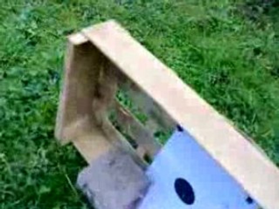 Craaker et thomas dans le jardin