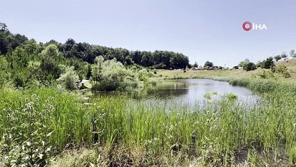 Bursa'daki o göl turizme kazandırılacak
