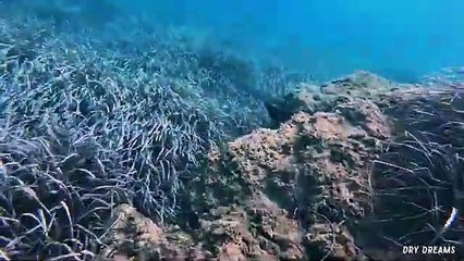 ASMR dive for deep relaxation _ fun freediving in Sounio, Greece