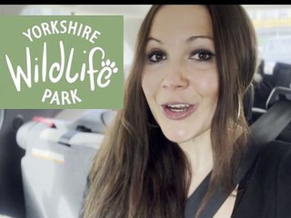 Yorkshire Wildlife Park: 'I tried the UK's number one walk-through adventure'