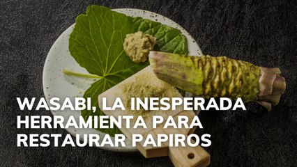 ¿Sabías que Wasabi puede restaurar papiros antiguos? 📝