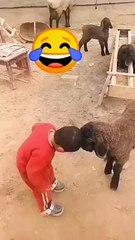 So cute and hilarious  #viral #trending #funny