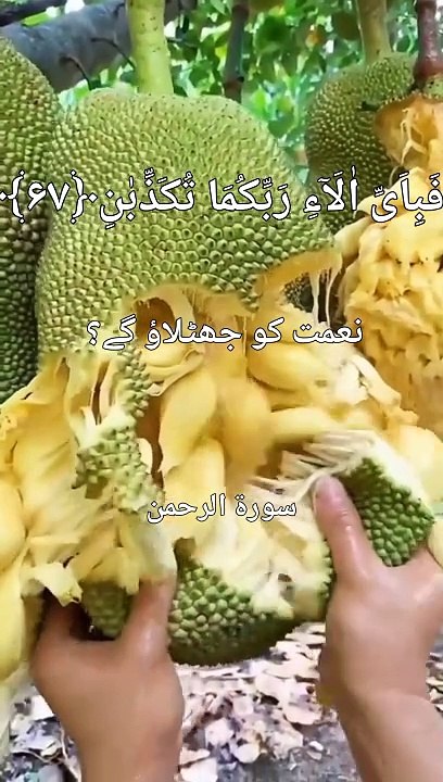 Surah Rahman