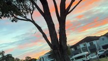 "Stunning Pink Sky Over Australia: A Captivating Sunset"