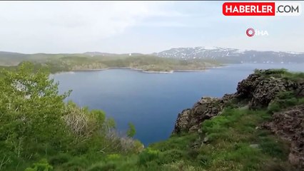 Eliyle beslemek istediği ayının saldırısına uğradı