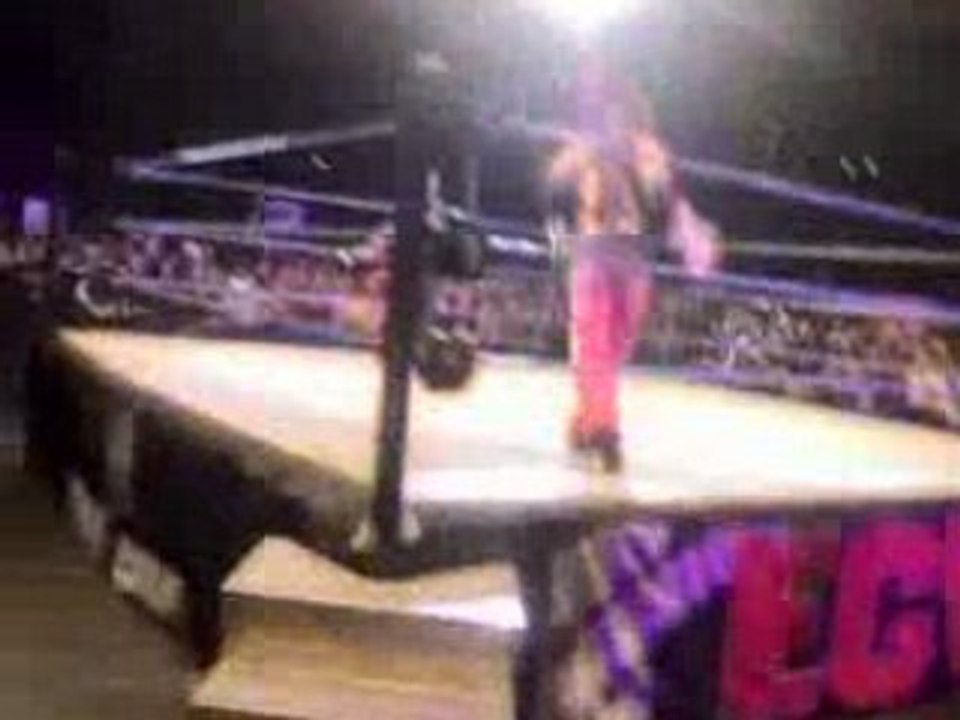 WWE Wrestlemania 2008 Revenge Tour Video 08