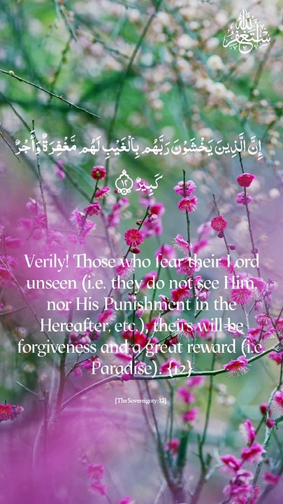 Surah Mulk || سورہ الملک || The sovereignity ||Recitation