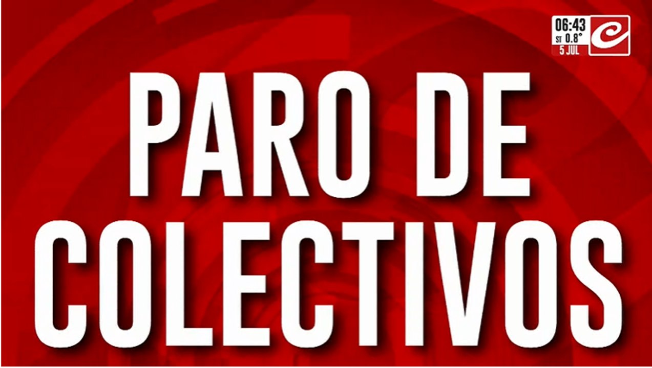Paro de colectivos en el AMBA: ¿cuáles son las líneas que no funcionan?