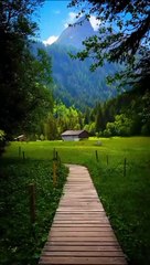 Relaxing greenery soft music,spa,meditation,creative video