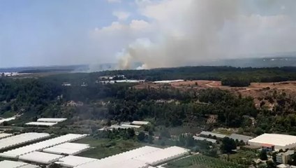 Antalya’nın Aksu ilçesinde orman yangını