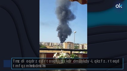 Una empresa de subtropicales en Vélez (Málaga) sufre un gran incendio