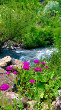 relexing sound, green colour is beautiful