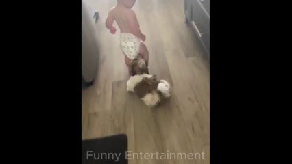 The cutest chaser - dog is playing with baby