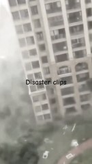 Disaster clips