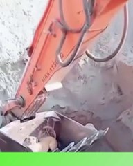 Dog felt in deep sliding, man trying to save him with Machine.