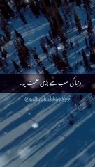 VID-20240702-WA0010