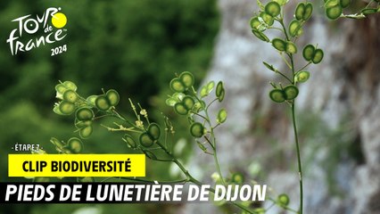 Tour de France de la biodiversité - Etape 7 - #TDF2024