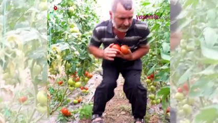 Öğretmenliği bırakıp çiftçiliğe başladı! Öğretmen maaşında 10 işçi çalıştırıyor