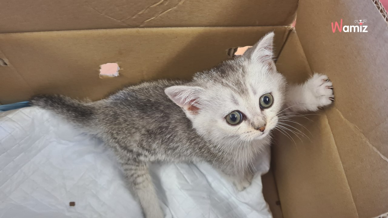 Hessen: Kunden finden Pappkarton beim Supermarkt „zum Mitnehmen“: Inhalt macht STINKSAUER!