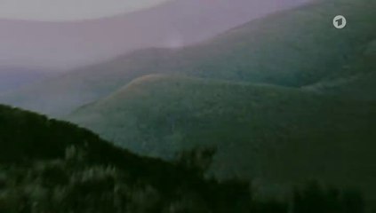 Für immer im Herzen