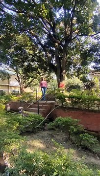 Resort - Tejomaya Jungle Retreat Location - Jim Corbett, Uttarakhand A paradise for nature lovers & family getaways #resorts #jungleresort #jimcorbett #touristattraction #tejomayaresorts #ramnagaruttrakhand #explore