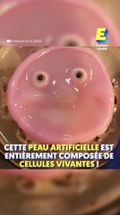 Cette peau artificielle est entièrement composée de cellules vivantes