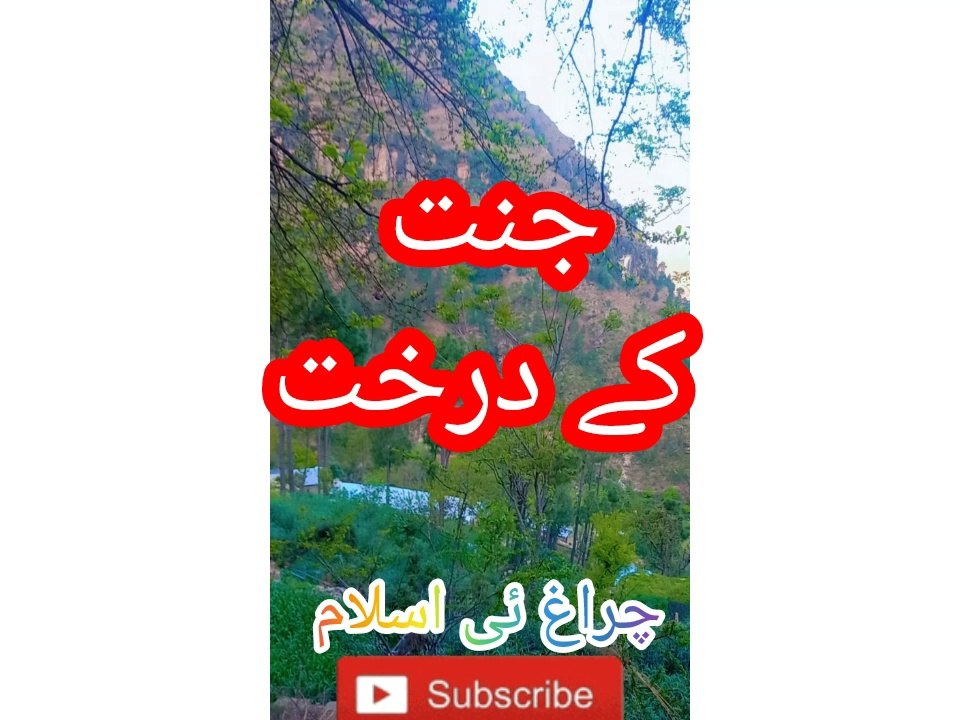 جنت کے درخت