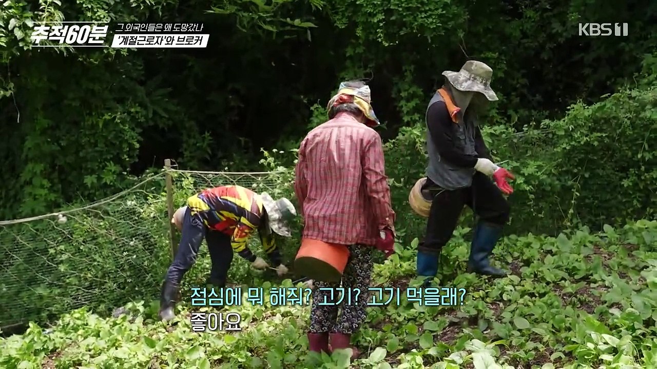 [KBS1] 추적 60분.E46.240705