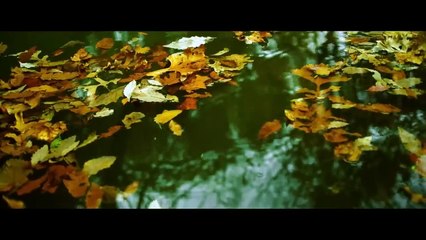 Warrior - Action - Science Fiction - movie in French - HD 1080