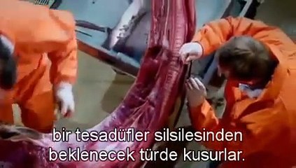 Richard Dawkins Zürafa Otopsisinde Evrimsel Hatayı Gösteriyor