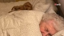 Elle emmène son chiot chez sa grand-mère de 96 ans : 9M de personnes observent la magie opérer (vidéo)