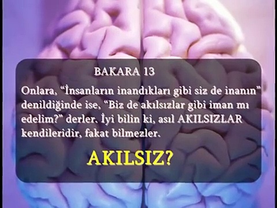 Ya Tanrı Varsa