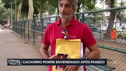 Polícia do Rio investiga cachorros que foram envenenados